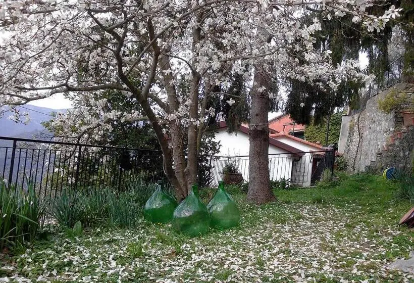 ファミリールーム, B&b I Glicini