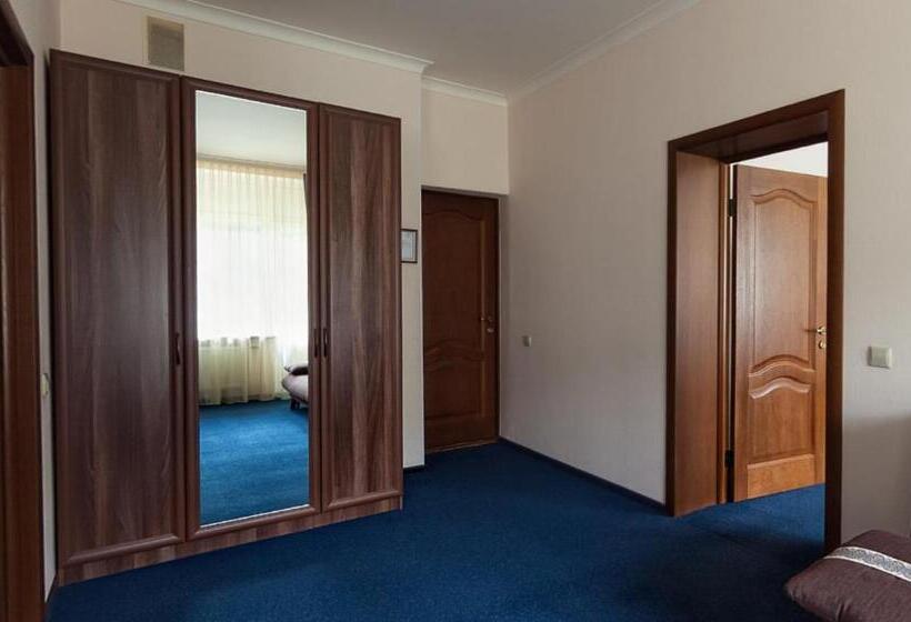 Апартаменты Deluxe 1 Спальня, Girska Tysa Health Resort