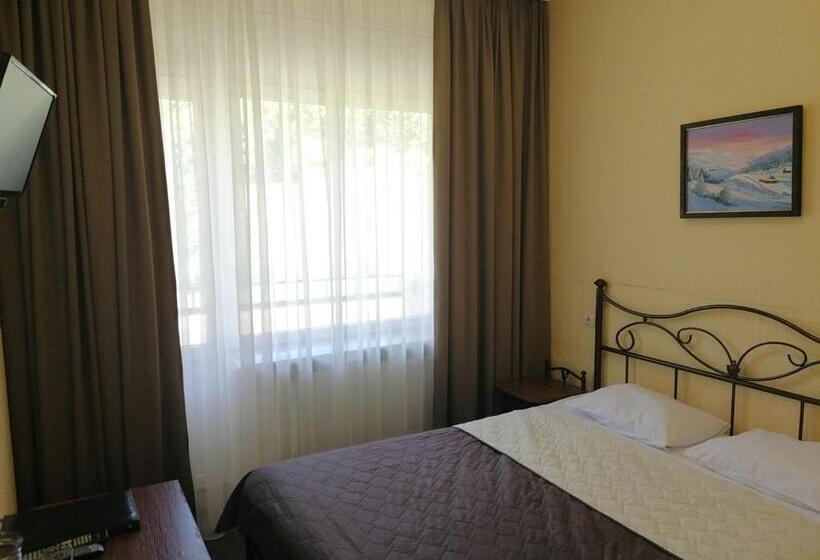 غرفة قياسية, Girska Tysa Health Resort