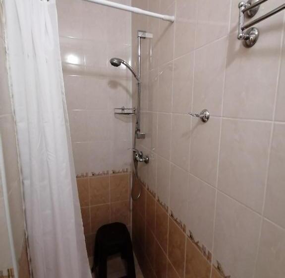 غرفة إقتصادية, Girska Tysa Health Resort