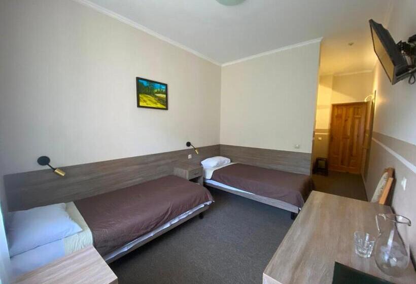 Номер Стандарт с Балконом, Girska Tysa Health Resort
