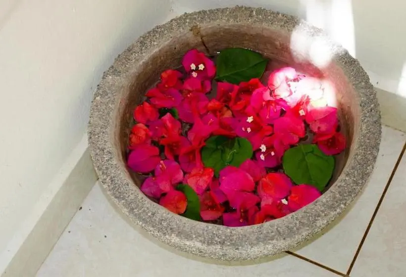 بانگلوی لوکس, Paraiso Escondido Hotel Villas & Resort