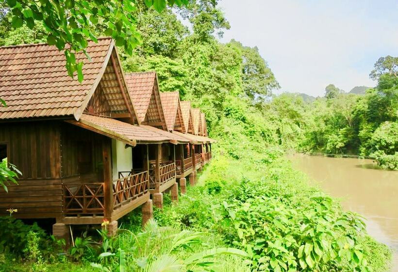 Бунгало Стандарт, Springriver Resort