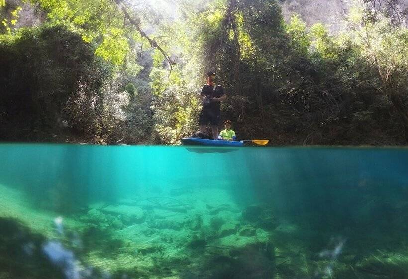 スタンダードバンガロー, Springriver Resort