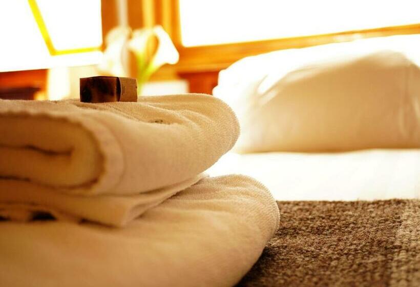 스탠다드 룸, Alto Melimoyu Hotel & Patagonia