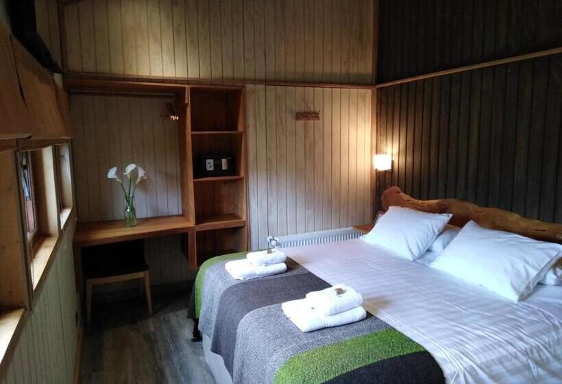 장애인을 위한 스탠다드 싱글 룸, Alto Melimoyu Hotel & Patagonia