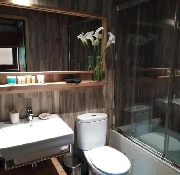 身障者適用シングルルーム, Alto Melimoyu Hotel & Patagonia