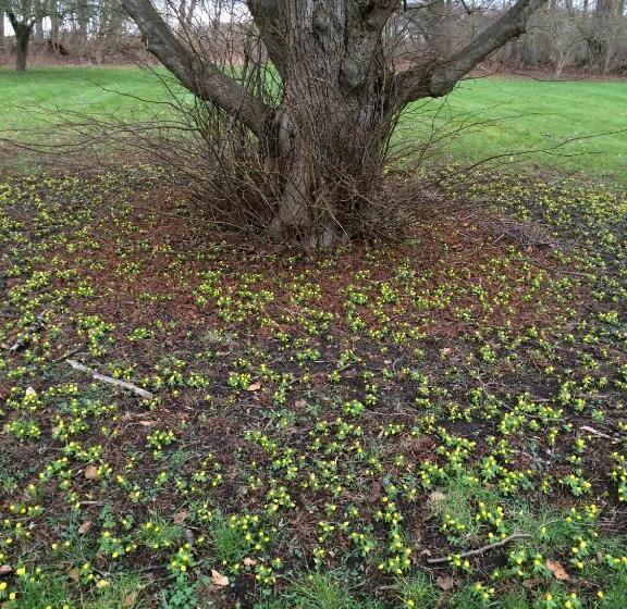 חדר סופריור, øbjerggaard Bedrooms