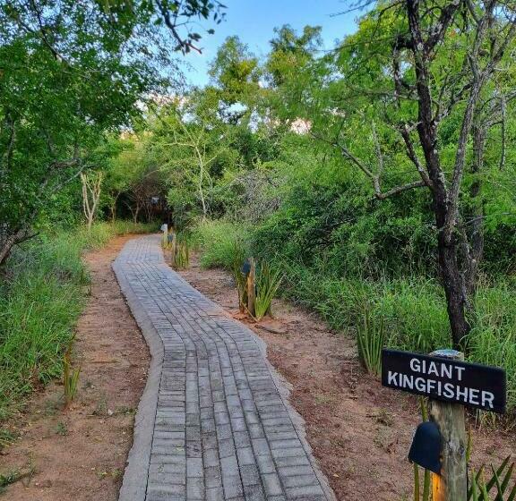 ファミリールーム, Kingfisher Creek Safari Lodge