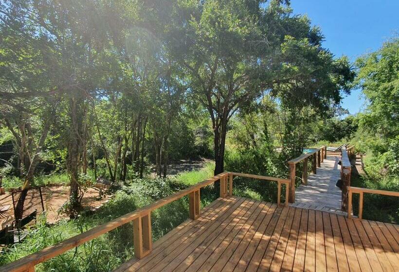 스탠다드 룸, Kingfisher Creek Safari Lodge