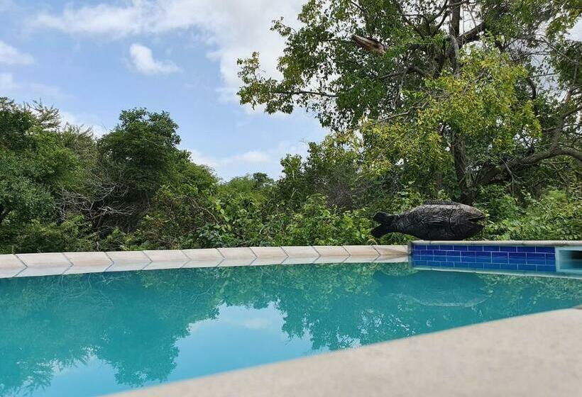 スタンダードルーム, Kingfisher Creek Safari Lodge