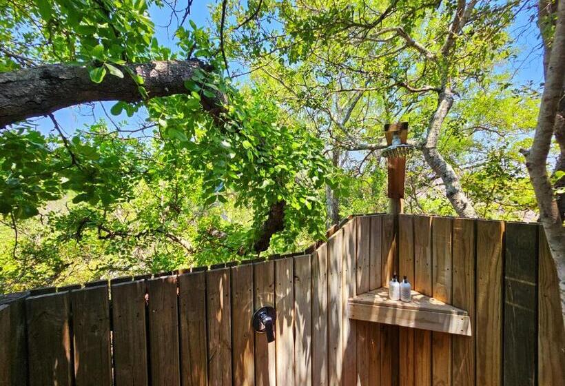 スタンダードルーム, Kingfisher Creek Safari Lodge