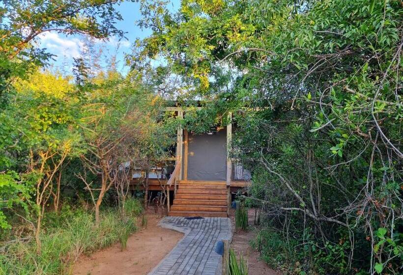 ファミリールーム, Kingfisher Creek Safari Lodge