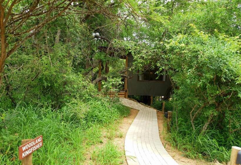 スタンダードルーム, Kingfisher Creek Safari Lodge