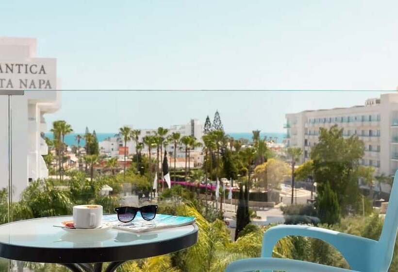 غرفة قياسية مطلّة علي حمام السباحة, Anesis