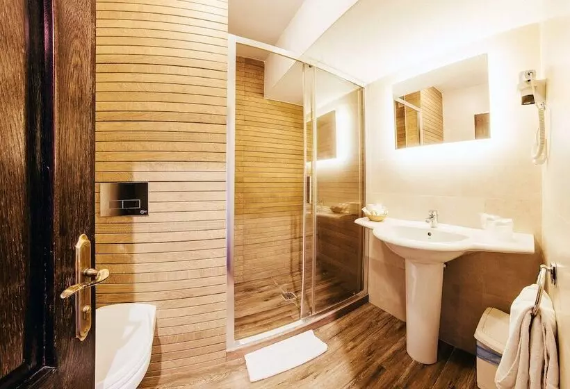 اتاق اکونومی, Best Western Bucovina Club De Munte