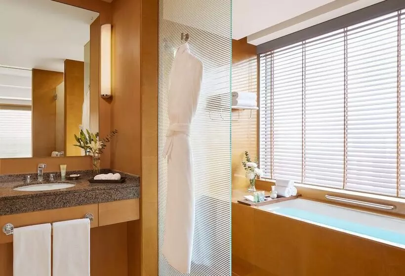 エクゼクティブスイート, Grand Hyatt Mumbai Hotel And Residences