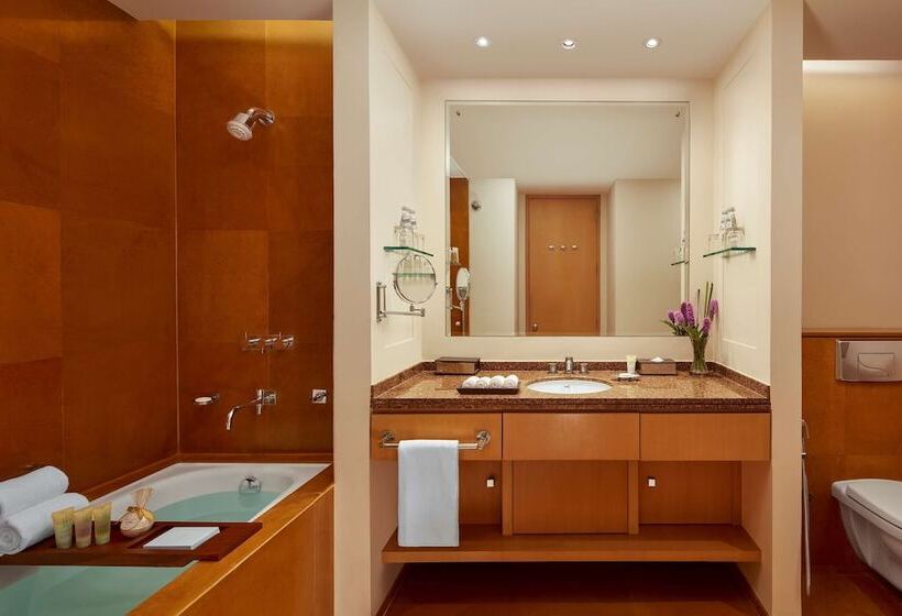 آپارتمان 1 خوابه اینتریور, Grand Hyatt Mumbai Hotel And Residences