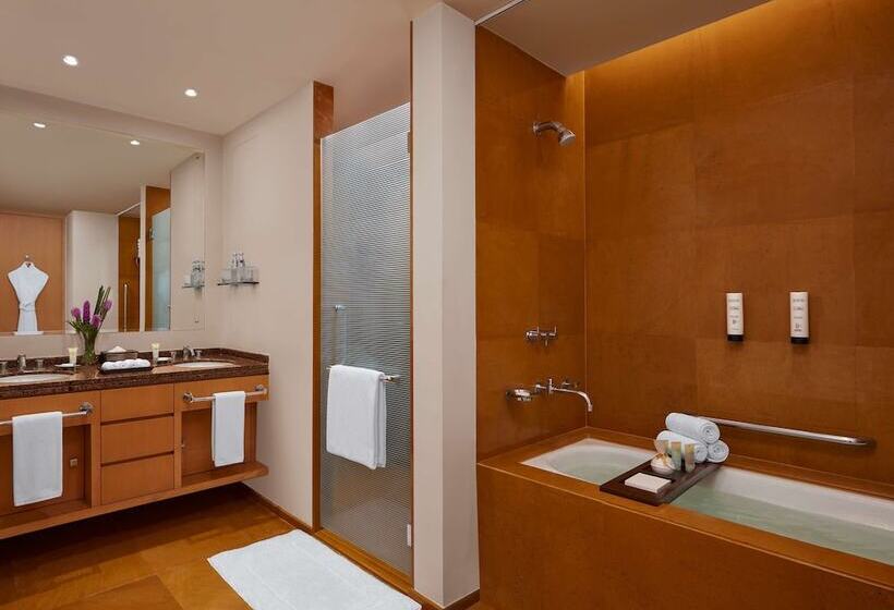 آپارتمان 3 خوابه, Grand Hyatt Mumbai Hotel And Residences