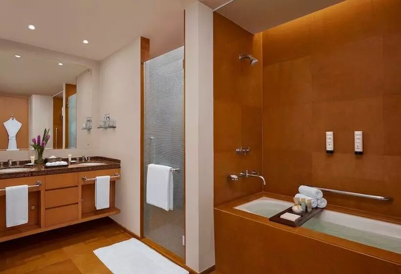 3ベッドルームアパートメント, Grand Hyatt Mumbai Hotel And Residences