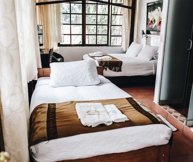 غرفة قياسية ثلاثية, Gringo Bill S Boutique