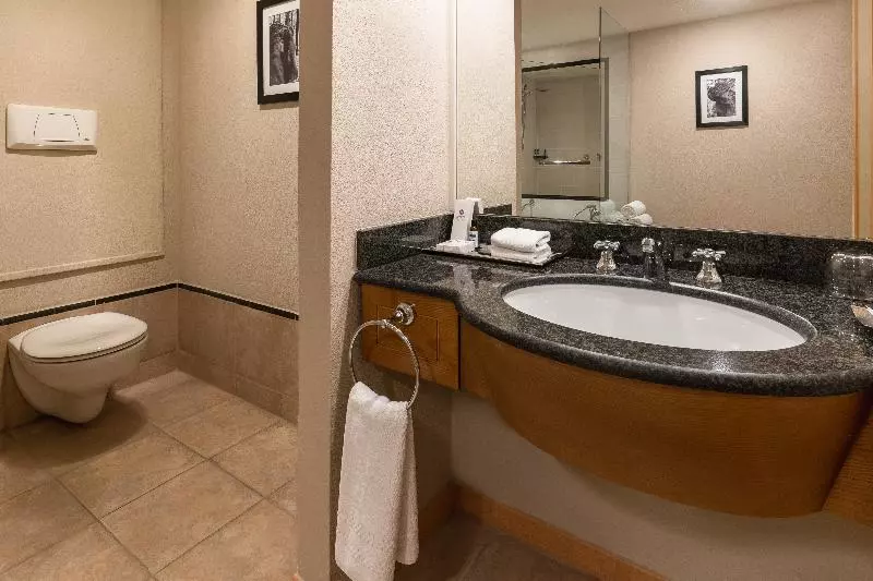 キングサイズベッドのデラックスルーム, Hyatt Regency Bishkek