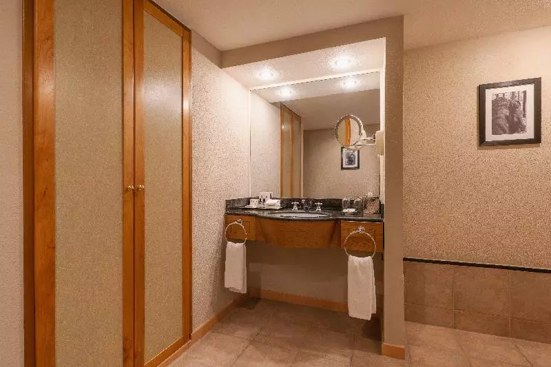 デラックスルーム, Hyatt Regency Bishkek