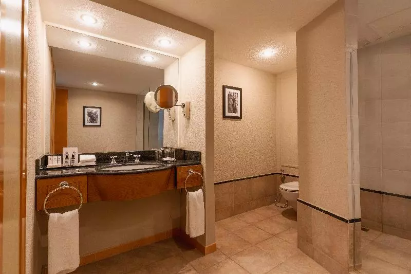 デラックスルーム, Hyatt Regency Bishkek