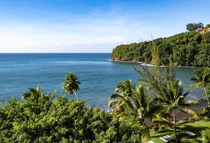 اتاق پرمیوم با چشم‌انداز دریا, Le Tahiti By Pearl Resorts