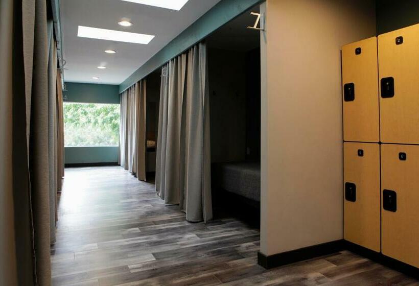 共用房间的床, Stay Classy