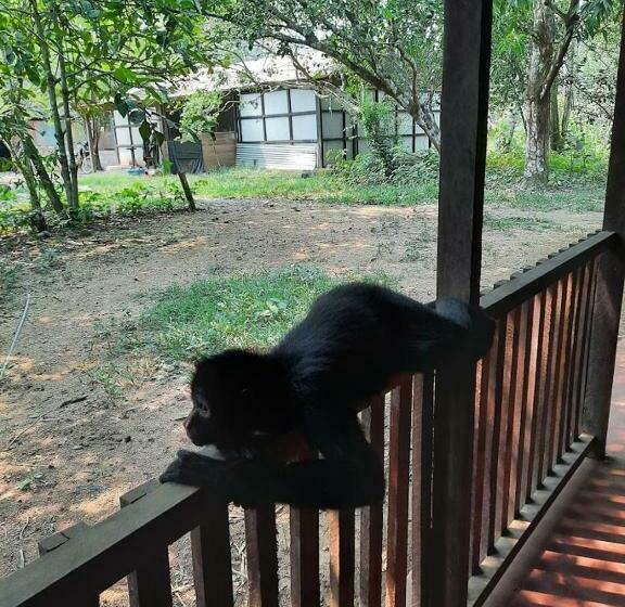 اتاق استاندارد یک نفره, Don Jaime Hostel