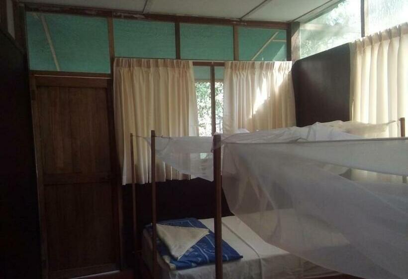 اتاق استاندارد یک نفره, Don Jaime Hostel