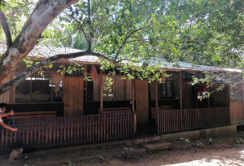 اتاق استاندارد یک نفره, Don Jaime Hostel