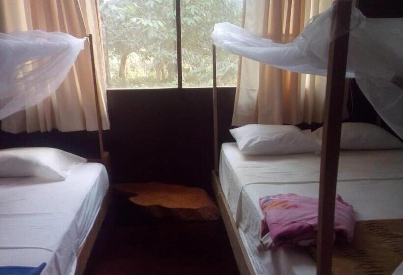 اتاق استاندارد یک نفره, Don Jaime Hostel