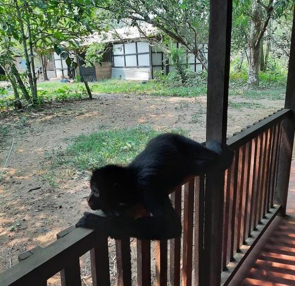 اتاق استاندارد, Don Jaime Hostel