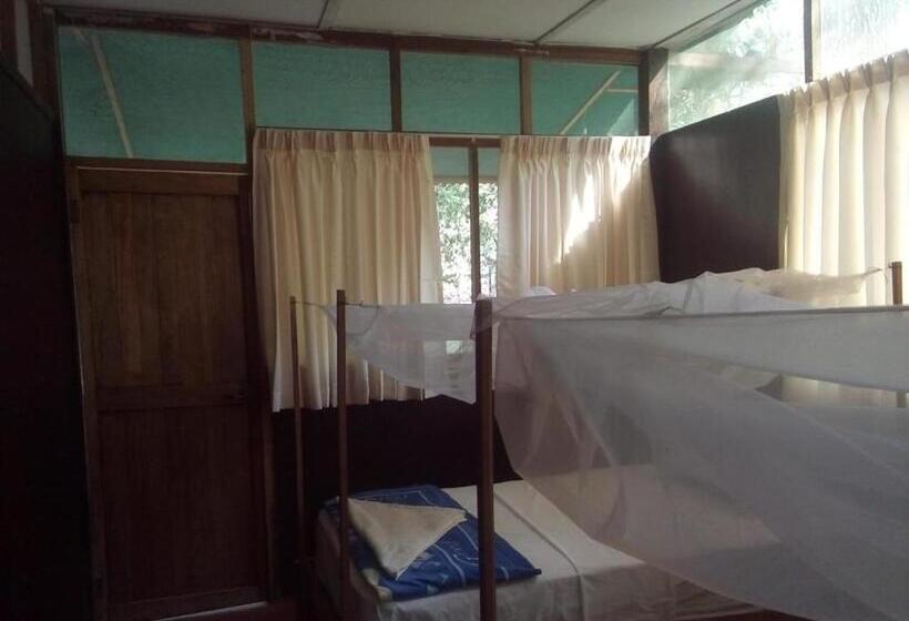 اتاق استاندارد سه نفره, Don Jaime Hostel