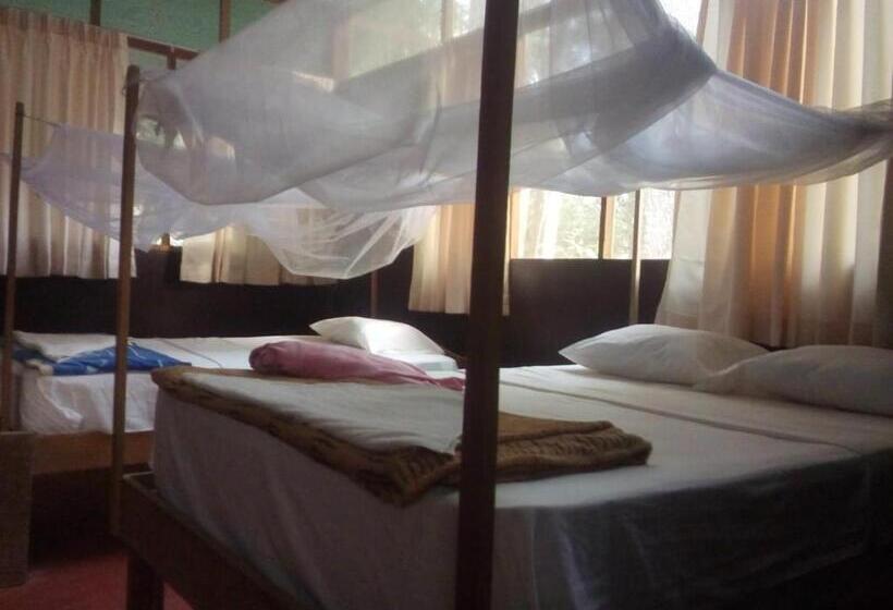 تختخواب در اتاق مشترک, Don Jaime Hostel