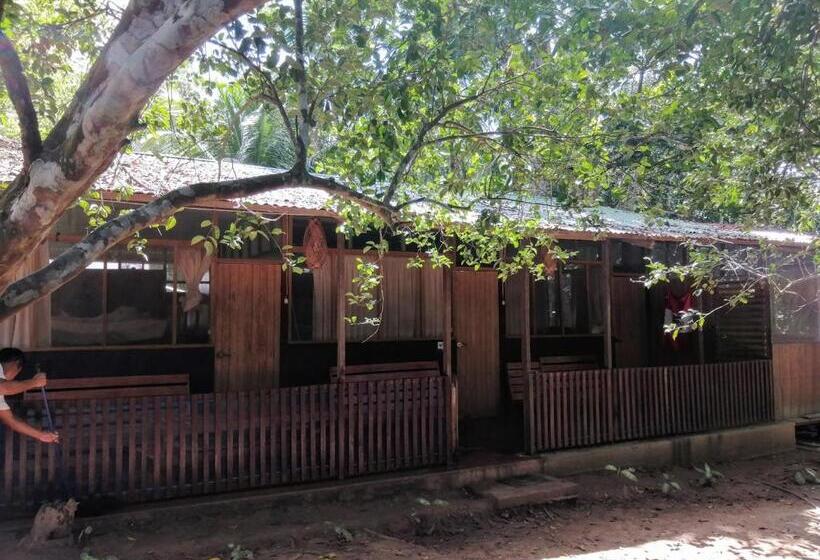 اتاق استاندارد سه نفره, Don Jaime Hostel