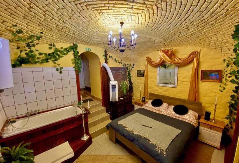 Номер Стандарт, Chateau Vincze