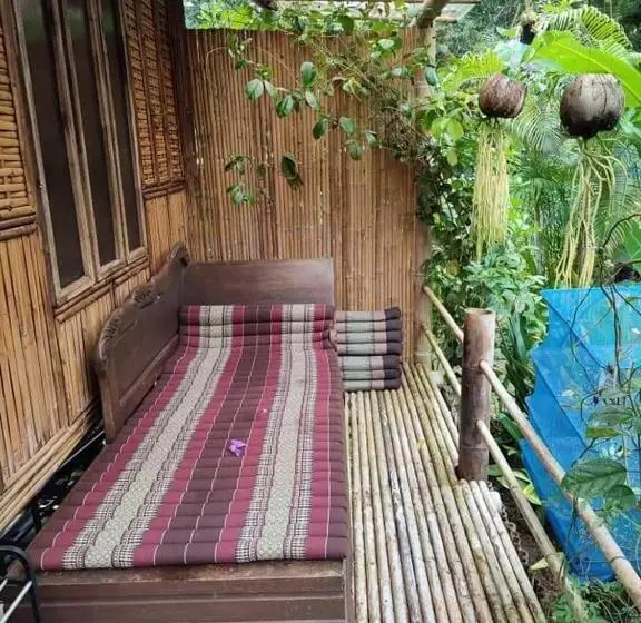 スタンダードバンガロー, Kuba Bungalows