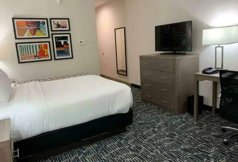 اتاق استاندارد با تخت بزرگ برای معلولان, La Quinta Inn & Suites By Wyndham   Red Oak Tx Ih 35e