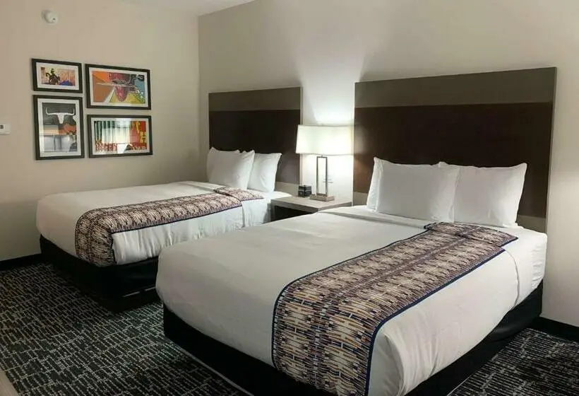 اتاق استاندارد برای معلولان, La Quinta Inn & Suites By Wyndham   Red Oak Tx Ih 35e