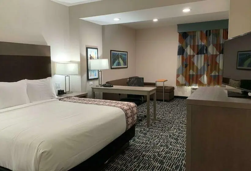 سوئیت با تخت بزرگ, La Quinta Inn & Suites By Wyndham   Red Oak Tx Ih 35e
