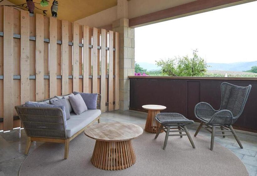 Номер Стандарт с Террасой, Olivi1948   Boutique Guest House