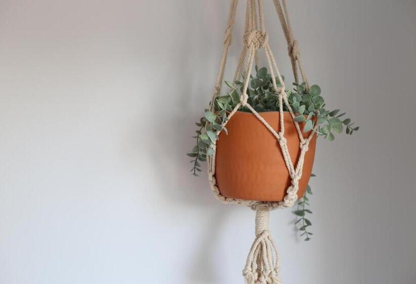 اتاق استاندارد با سرویس بهداشتی مشترک, San Miguel 34 Rooms