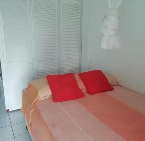 استودیوی استاندارد, Apartment Espoir