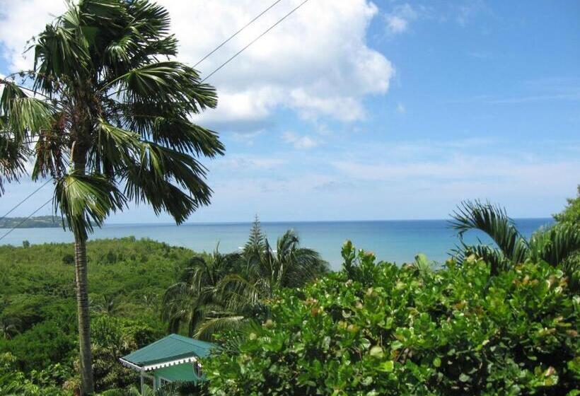 استودیوی استاندارد, Apartment Espoir