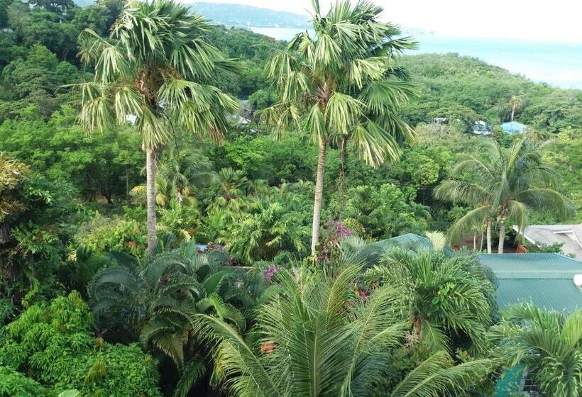 اتاق استاندارد, Apartment Espoir