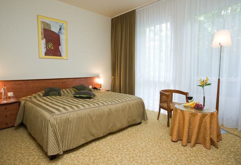 Номер Superior, Best Baltic Kaunas