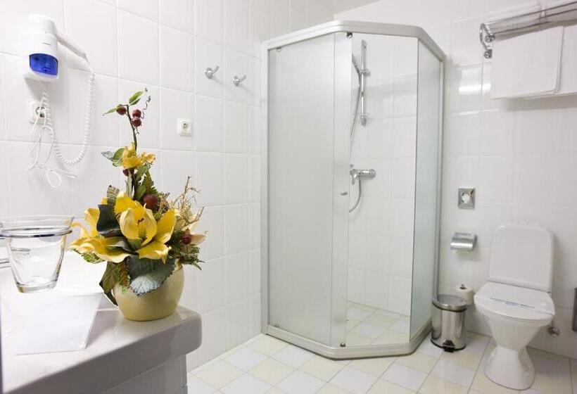 Номер Стандарт Индивидуальный, Best Baltic Kaunas